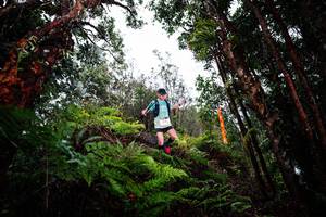 BIB: 
                            <button type="button" onclick="openModal(26205114)" class="btn btn-primary btn-sm float-right btn-popup" data-toggle="modal" data-target=".modal-high-quality">
                        <i class="fas fa-shopping-cart"></i> Add to Cart
                    </button>
                                            <button type="button" onclick="isThisMe(26205114, true)" class="btn btn-success btn-sm float-right btn-popup btn-isme hidden" data-toggle="tooltip" data-placement="bottom" title="นี่คือรูปของคุณใช่ไหม คลิกที่นี่เพื่อเอาเข้าอัลบั้ม">
                        <i class="fas fa-plus"></i> Add to album
                    </button>
                    <button type="button" onclick="isThisMe(26205114, false)" class="btn btn-warning btn-sm float-right btn-popup btn-isnotme hidden">
                        <i class="fas fa-ban"></i> Remove from album
                    </button>